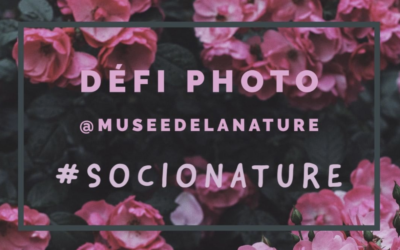 Concours de photo du Musée canadien de la nature